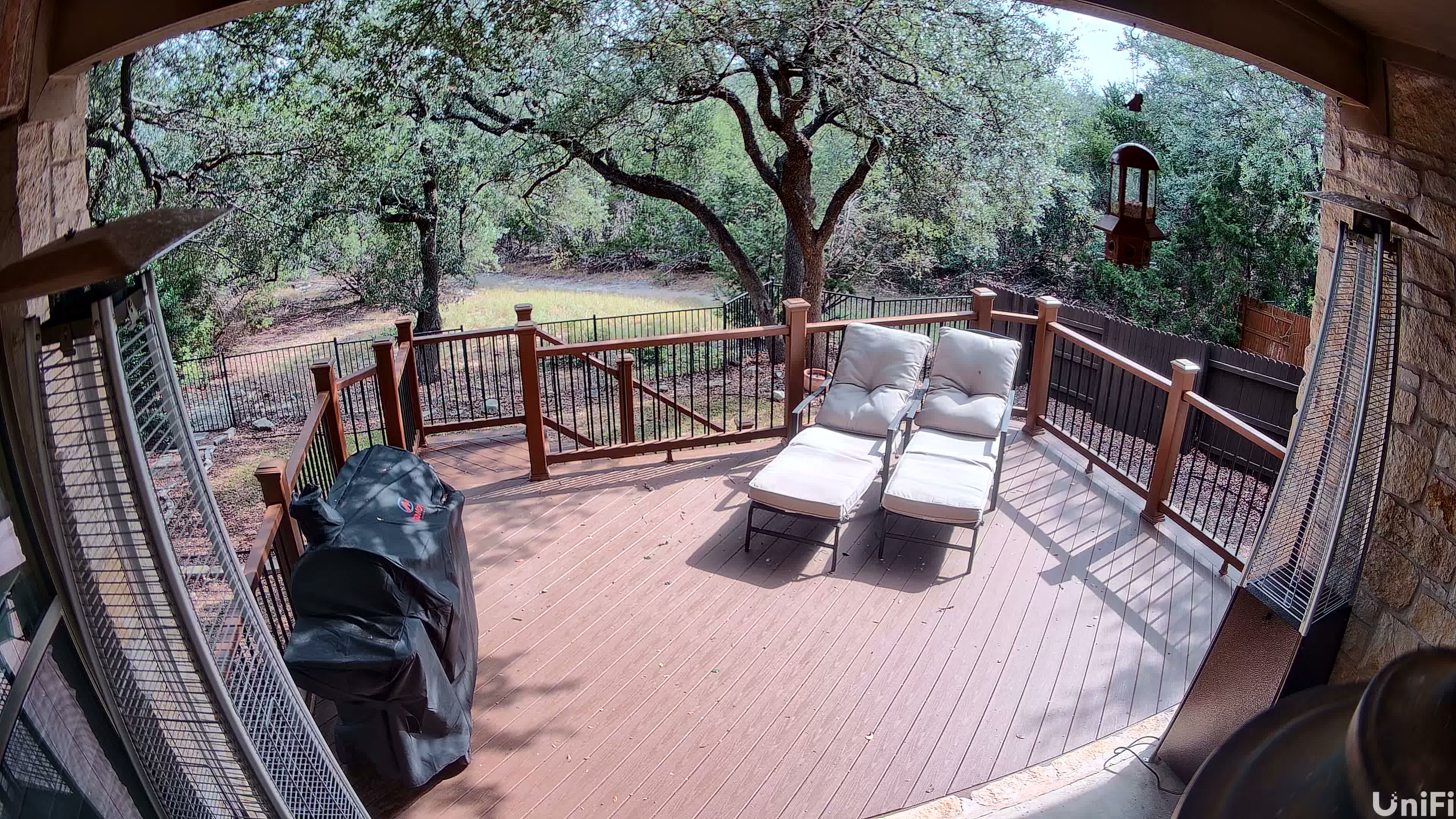 Backyard Camera Snapshot